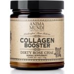 Anima Mundi Collagen Booster Powder-Plant-Based 113 g – Hledejceny.cz