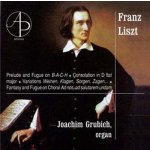 Grubich, Joachim - Franz Liszt - Organ Works – Hledejceny.cz