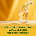 Walmark Magnesium + B6 90 ks – Hledejceny.cz