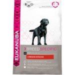 Eukanuba Labrador Retriever 2,5 kg – Hledejceny.cz