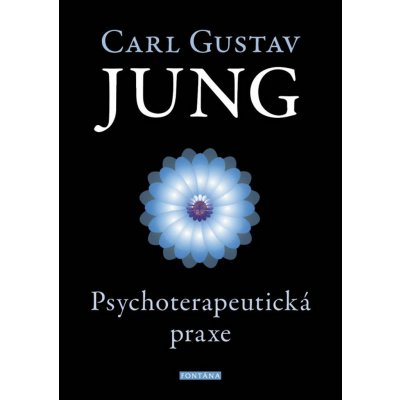 Psychoterapeutická praxe - Carl Gustav Jung – Zbozi.Blesk.cz