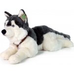 Eco-Friendly Rappa pes husky s obojkem ležící 60 cm – Zboží Dáma
