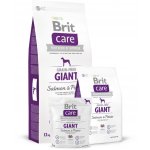 Brit Care Grain-free Giant Salmon & Potato 12 kg