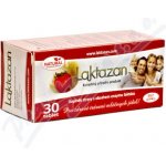 Gelda Laktazan s příchutí jahody 30 tablet – Hledejceny.cz