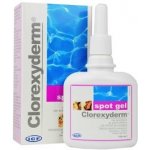 Industria Chimica Fine s.r.i. Clorexyderm spot gel ICF 100 ml – Hledejceny.cz