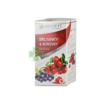 Megafyt Ovocný Brusinky borůvky 20 x 2 g