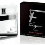 Salvatore Ferragamo F by Ferragamo Black toaletní voda pánská 100 ml – Zboží Mobilmania