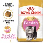 Royal Canin Persian Kitten 400 g – Zboží Mobilmania