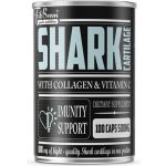 Shark Cartilage FitBoom 100 kapslí – Hledejceny.cz