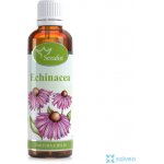 Serafin Echinacea tinktura z bylin 50 ml – Hledejceny.cz