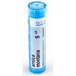 ARNICA MONTANA POR 9CH GRA 4G – Zboží Dáma
