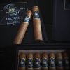 Doutníky Culture Dominican Robusto 20 box