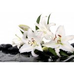 WEBLUX 28705565 Samolepka fólie madonna lily and spa stone madonna lily a lázeský kámen rozměry 100 x 73 cm