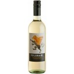 Folonari Chardonnay 2021 Italia IGT Veneto suché bílé 12% 0,75 l (holá láhev) – Hledejceny.cz