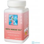 TCM Herbs Nápoj nebeské víly 100 g – Hledejceny.cz