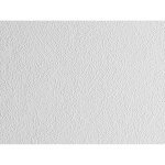 A.S. Création 103611 přetíratelné tapety na zeď Meistervlies Protect 4 rozměry 0,53 x 10,05 m – Hledejceny.cz