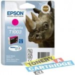 Epson C13T100340 - originální – Zboží Živě