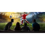 Panasonic TV-55W90AEG – Sleviste.cz
