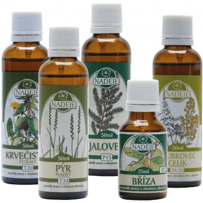 Naděje NK17 Kúra při detoxikaci a regeneraci organismu 225 ml – Hledejceny.cz