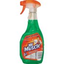 Mr. Muscle Clean & Shine zelený čistič na okna 500 ml