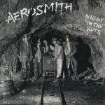 Aerosmith - Night In The Ruts CD – Hledejceny.cz