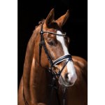 HKM Uzdečka Flora černá – Zboží Dáma