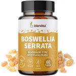 Boswellia Serrata 60 kapslí – Hledejceny.cz