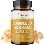 Boswellia Serrata 60 kapslí – Zbozi.Blesk.cz