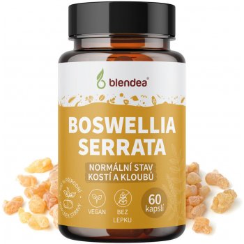 Boswellia Serrata 60 kapslí