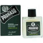 Proraso Cypress and Vetyver balzám na vousy 100 ml – Zboží Dáma
