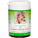 TCM Herbs Utišení větrné bouře 100 tablet – Hledejceny.cz