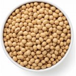 Les fruits du paradis Sojové boby Bio 0,5 kg – Zboží Dáma
