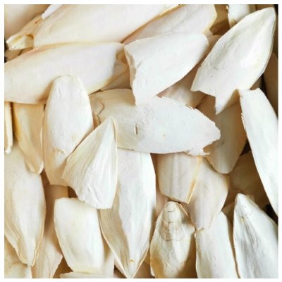SÉPIOVÁ KOST 200 G – Zboží Dáma