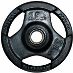 FitnessLine Kotouč litinový pogumovaný 30 mm 2,5 kg – Zbozi.Blesk.cz