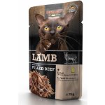 Leonardo jehněčí a extra trhané hovězí 70 g – Sleviste.cz