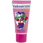 Vademecum Junior jahoda 50 ml – Hledejceny.cz