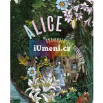 Alice, Curiouser and Curiouser – Hledejceny.cz