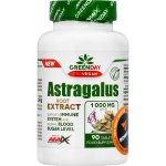Amix GreenDay ProVegan Astragalus Extract 90 tablet – Hledejceny.cz