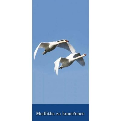 Modlitba za kmotřence (Z 135) – Hledejceny.cz