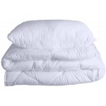 Pragati Fashion set Comfort celoroční 140x200 70x90 – Zboží Dáma