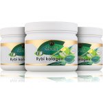 Golden Nature 2+1 Rybí kolagen+Vitamin C Jablko 750 g – Hledejceny.cz