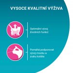 Purina ONE bifensis junior kuře 0,8 kg – Zboží Dáma