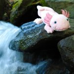 Eco-Friendly Axolotl 33 cm – Zboží Mobilmania
