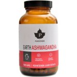 Earth Ashwagandha BIO 120 kapslí – Hledejceny.cz
