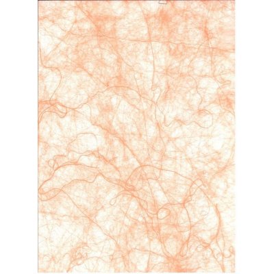 Linder záclona metráž 888 vyska 160 cm 87 zelena (18,70 m) – Zboží Mobilmania