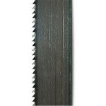 SCHEPPACH Pás 6/0,36/1490 24 Z/Z – Zboží Dáma