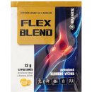 Evris Flex Blend citron 12 g