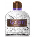 Golem Slivovice 40% 1 l (holá láhev) – Zboží Dáma