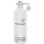 Montale Sandal Sliver parfémovaná voda unisex 100 ml – Hledejceny.cz