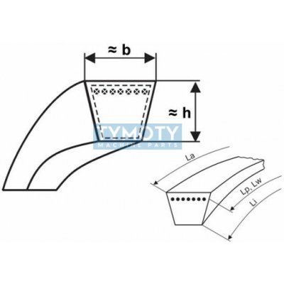 Klínový řemen SPA 1557 Lw 12,7x1575 La L=L ProfiPlus Rubena | Zboží Auto
